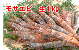1143 【魚倉】モサエビ 生1kg(中～大サイズ)の詳細へ
