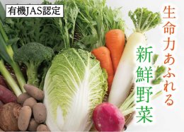 1209 有機JAS認定 冬野菜とお米の詰め合わせセットの詳細へ