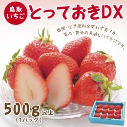 0516 とっておきDX 500g【鳥取いちご】(とみハウス)の詳細へ