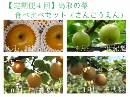 1203 【定期便４回】 鳥取の梨食べ比べセット(さんこうえん)の詳細へ