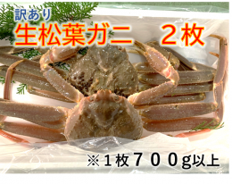 1141 【魚倉】訳あり生松葉ガニ２枚セットの詳細へ