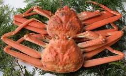 0862&nbsp;茹で松葉ガニ(小)【株式会社つづお】の詳細へ