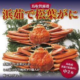 0816&nbsp;鳥取賀露港&nbsp;浜茹で松葉がに【かねまさ・浜下商店】の詳細へ