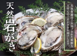 0071 鳥取賀露港 天然岩がきセット【かねまさ・浜下商店】の詳細へ