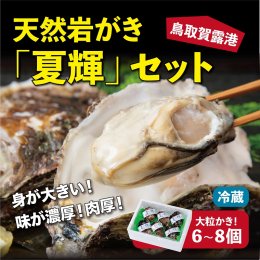 0072 鳥取賀露港 天然岩がき「夏輝」セット【かねまさ・浜下商店】の詳細へ
