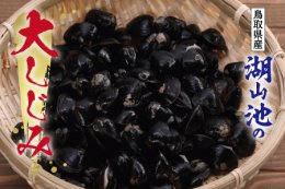 0069&nbsp;湖山池の大しじみの詳細へ