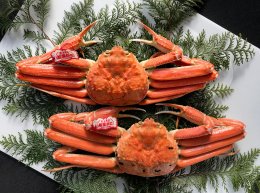 0818&nbsp;鳥取賀露港&nbsp;タグ付き浜茹で松葉がに【かねまさ・浜下商店】の詳細へ