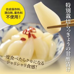 0414&nbsp;特別栽培らっきょうの甘酢漬（5袋セット）の詳細へ