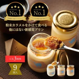 0540&nbsp;Totto&nbsp;PURIN&nbsp;プリン食べ比べ9個セットの詳細へ