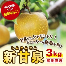 1519&nbsp;新甘泉&nbsp;3キロ【安田農園】の詳細へ