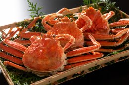 0822&nbsp;鳥取県産&nbsp;茹で親がに&nbsp;大(訳あり)&nbsp;【中村商店】の詳細へ