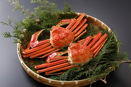 0826&nbsp;鳥取県産&nbsp;浜茹で松葉がに&nbsp;特大2枚(タグ付)【中村商店】の詳細へ