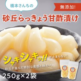 0692&nbsp;橋本さんちの砂丘らっきょう甘酢漬け&nbsp;500gの詳細へ