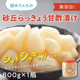 0694&nbsp;橋本さんちの砂丘らっきょう甘酢漬け&nbsp;800g(瓶)の詳細へ