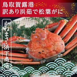 0819&nbsp;鳥取賀露港&nbsp;訳あり浜茹で松葉がに&nbsp;大&nbsp;1枚【かねまさ・浜下商店】の詳細へ